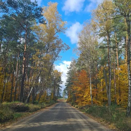 Domek Konrad - Balia Ogrodowa Dodatkowo Platna Kościerzyna Exterior foto