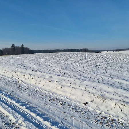 Domek Konrad - Balia Ogrodowa Dodatkowo Platna Kościerzyna Exterior foto