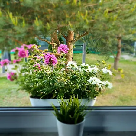 Domek Konrad - Balia Ogrodowa Dodatkowo Platna Kościerzyna Exterior foto