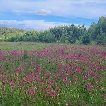 Domek Konrad - Balia Ogrodowa Dodatkowo Platna Kościerzyna Exterior foto