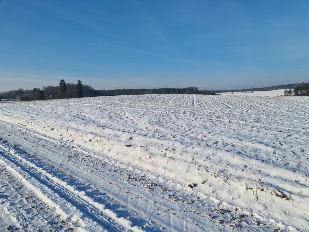 Konrad - Balia Ogrodowa Dodatkowo Platna * Kościerzyna