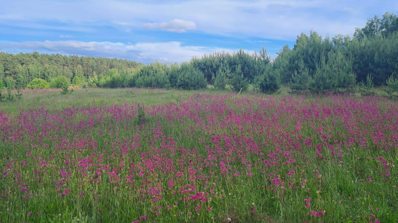 Ferienhaus Konrad - Balia Ogrodowa Dodatkowo Platna *