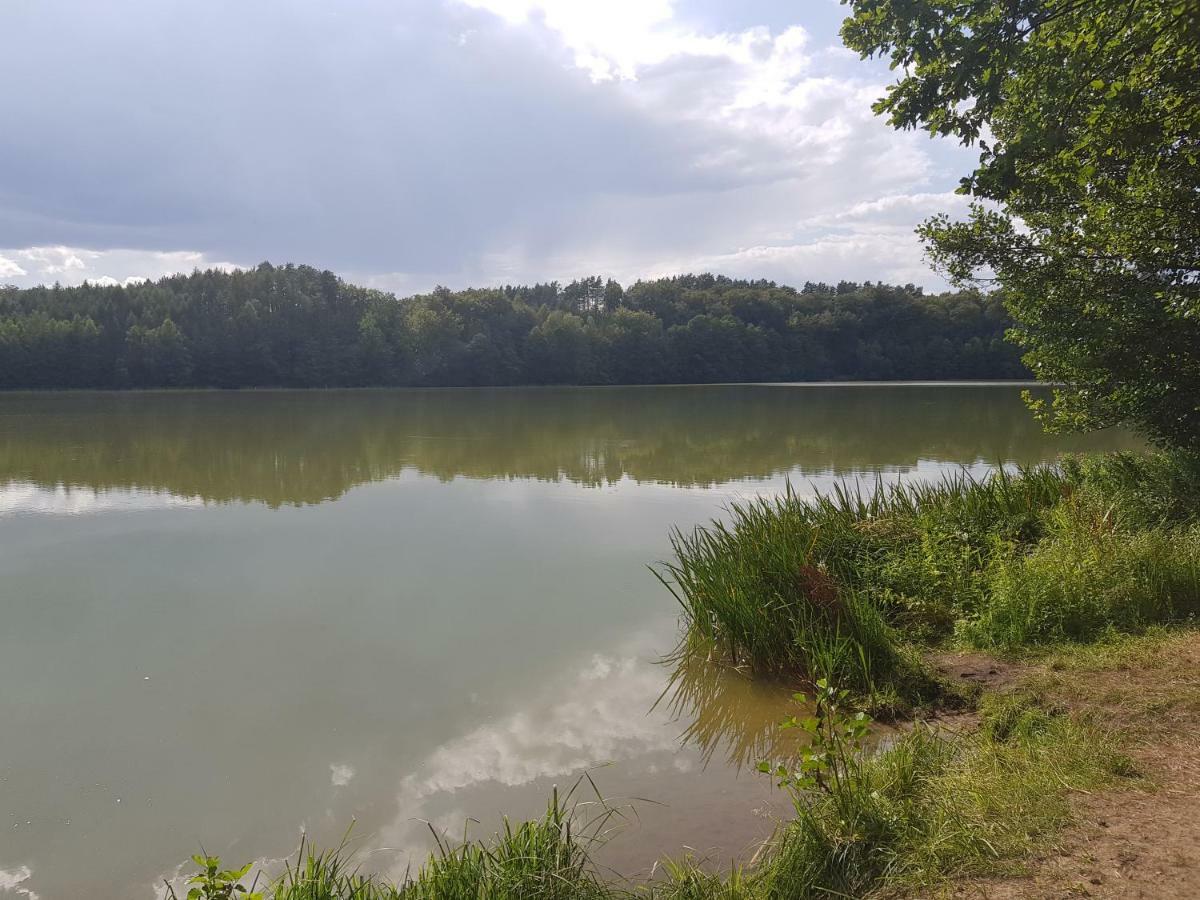 Konrad - Balia Ogrodowa Dodatkowo Platna Ferienhaus Kościerzyna